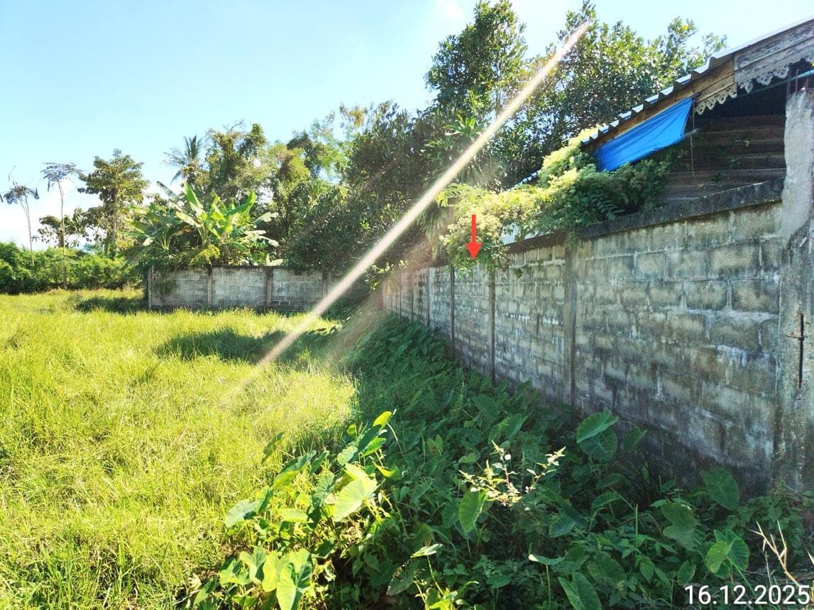 ขายบ้านเดี่ยว น้ำชำ สูงเม่น แพร่ 1 ห้องนอน พื้นที่ใช้สอย 31.5 ตร.ม.