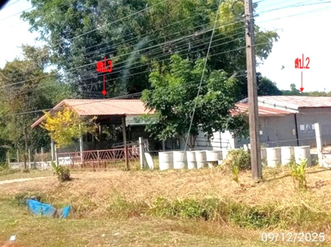 ขายบ้านเดี่ยว บ้านเชียง หนองหาน อุดรธานี พื้นที่ใช้สอย 88 ตร.ม. ทำเลศักยภาพ เหมาะลงทุนและอยู่อาศัย