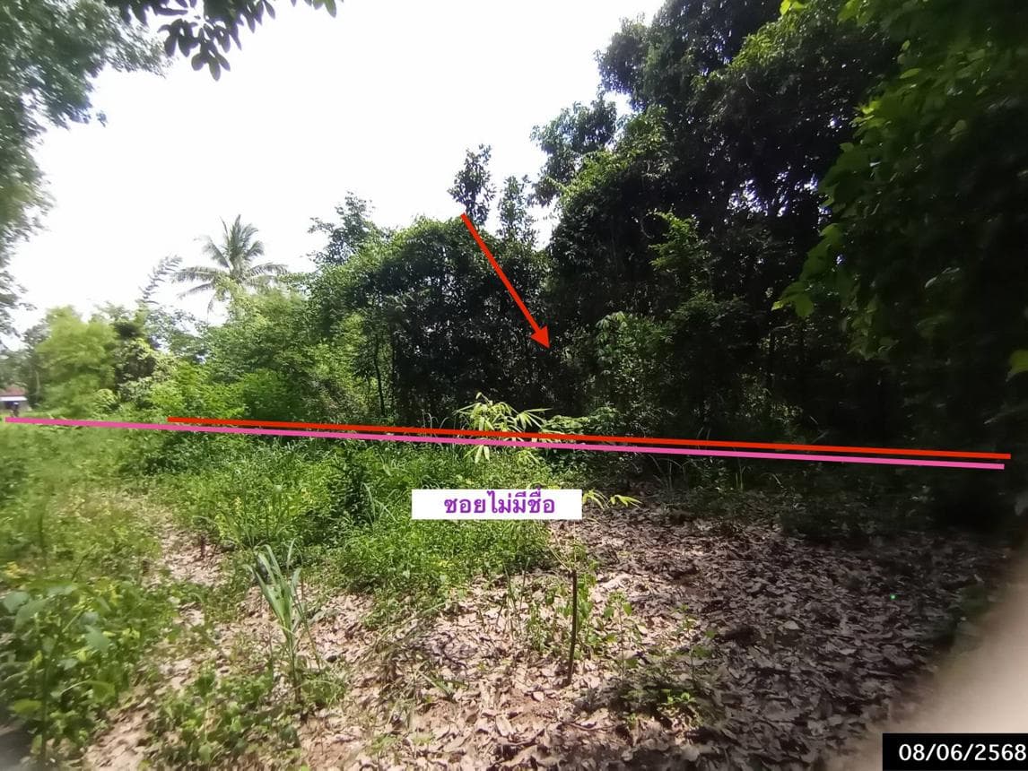 ขายที่ดิน ส่องดาว ส่องดาว สกลนคร พื้นที่ 79 ตร.ว.