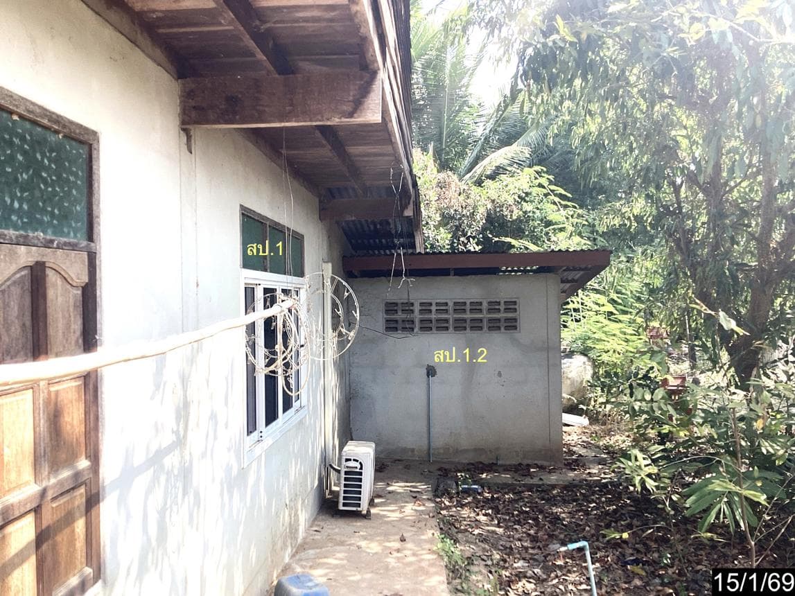 ขายบ้านเดี่ยว หนองบัว ปะคำ บุรีรัมย์ พื้นที่ใช้สอย 186.13 ตร.ม.