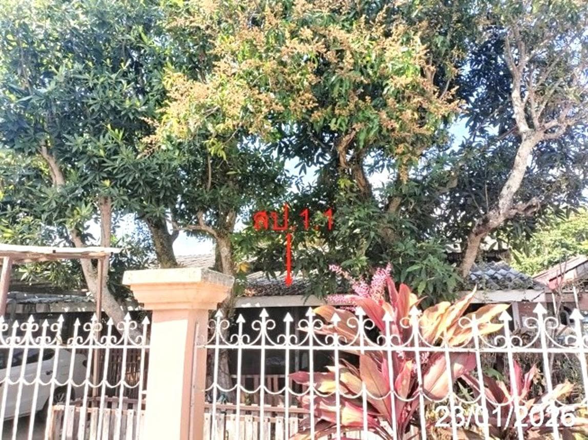 ขายบ้านเดี่ยว เวียง ฝาง เชียงใหม่ 3 ห้องนอน พื้นที่กว้าง 97 ตร.ว. ทำเลสงบ บรรยากาศดีใกล้ชิดธรรมชาติ