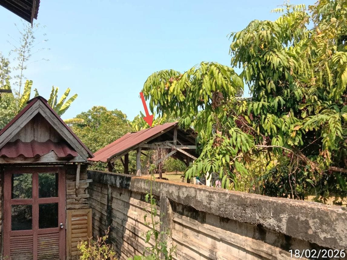 ขายบ้านเดี่ยว เมืองแพร่ ทำเลศักยภาพ แม่คำมี พื้นที่ใช้สอยกว้างขวาง 352.5 ตร.ม.