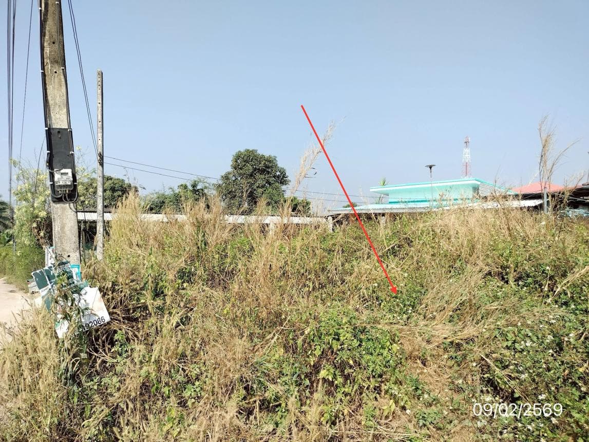 ที่ดินเปล่า ทรายขาว พาน เชียงราย พื้นที่ 37 ตร.ว. ทำเลสงบ เหมาะสร้างบ้านพักตากอากาศ