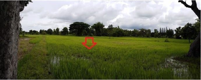 ที่ดินว่างเปล่า บ้านยางเครือ จตุรพักตรพิมาน-ร้อยเอ็ด