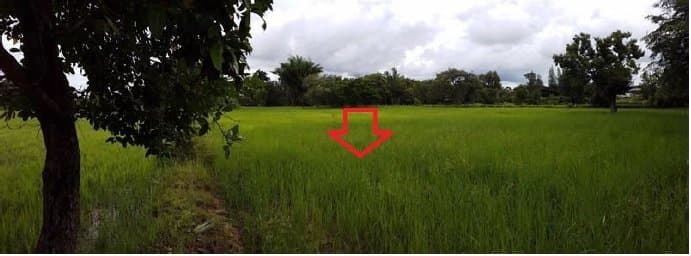 ที่ดินว่างเปล่า บ้านยางเครือ จตุรพักตรพิมาน-ร้อยเอ็ด