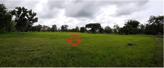 ที่ดินว่างเปล่า บ้านยางเครือ จตุรพักตรพิมาน-ร้อยเอ็ด