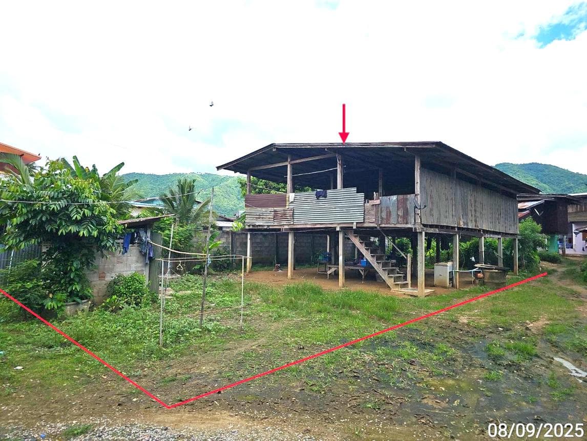 บ้านเดี่ยว นาป่า เมืองเพชรบูรณ์ เพชรบูรณ์ 2 ห้องนอน พื้นที่ใช้สอย 108 ตร.ม. บนที่ดิน 66 ตร.ว. ทำเลสงบ บรรยากาศธรรมชาติ ราคาพิเศษเพียง 1.8 แสน