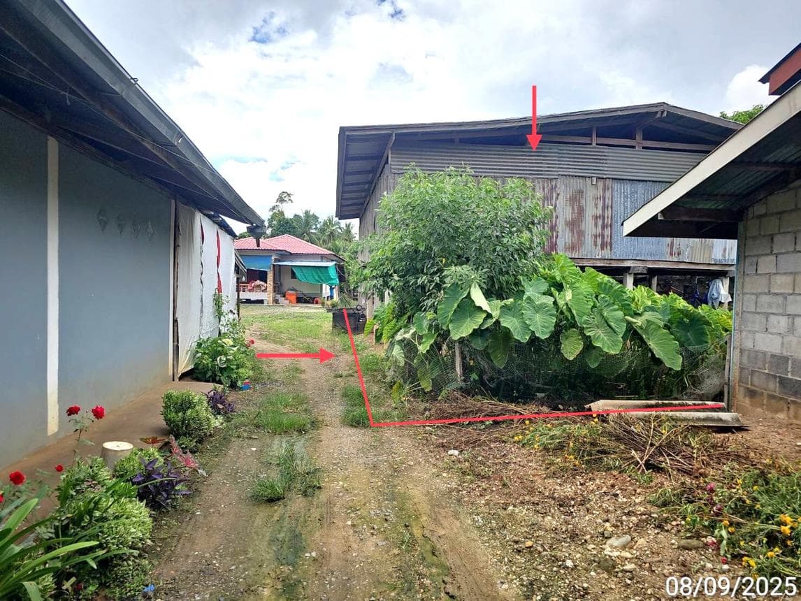 บ้านเดี่ยว นาป่า เมืองเพชรบูรณ์ เพชรบูรณ์ 2 ห้องนอน พื้นที่ใช้สอย 108 ตร.ม. บนที่ดิน 66 ตร.ว. ทำเลสงบ บรรยากาศธรรมชาติ ราคาพิเศษเพียง 1.8 แสน