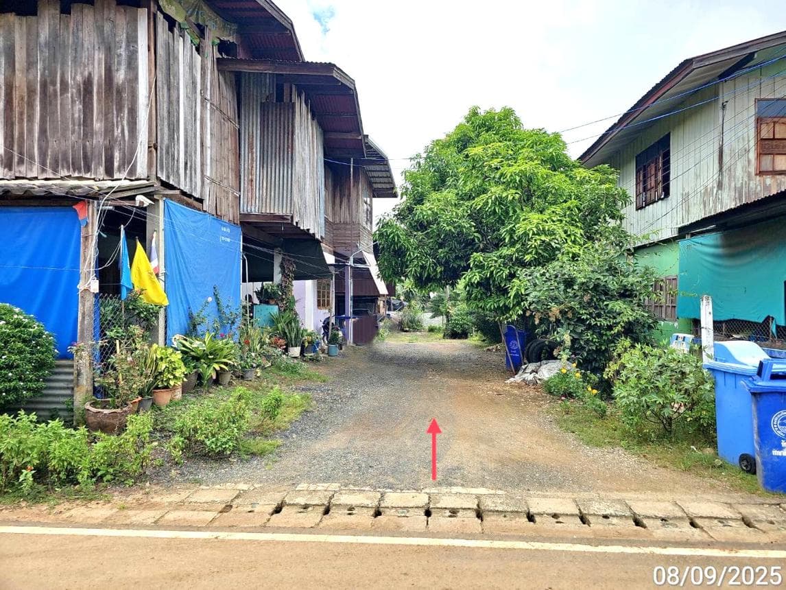 บ้านเดี่ยว นาป่า เมืองเพชรบูรณ์ เพชรบูรณ์ 2 ห้องนอน พื้นที่ใช้สอย 108 ตร.ม. บนที่ดิน 66 ตร.ว. ทำเลสงบ บรรยากาศธรรมชาติ ราคาพิเศษเพียง 1.8 แสน