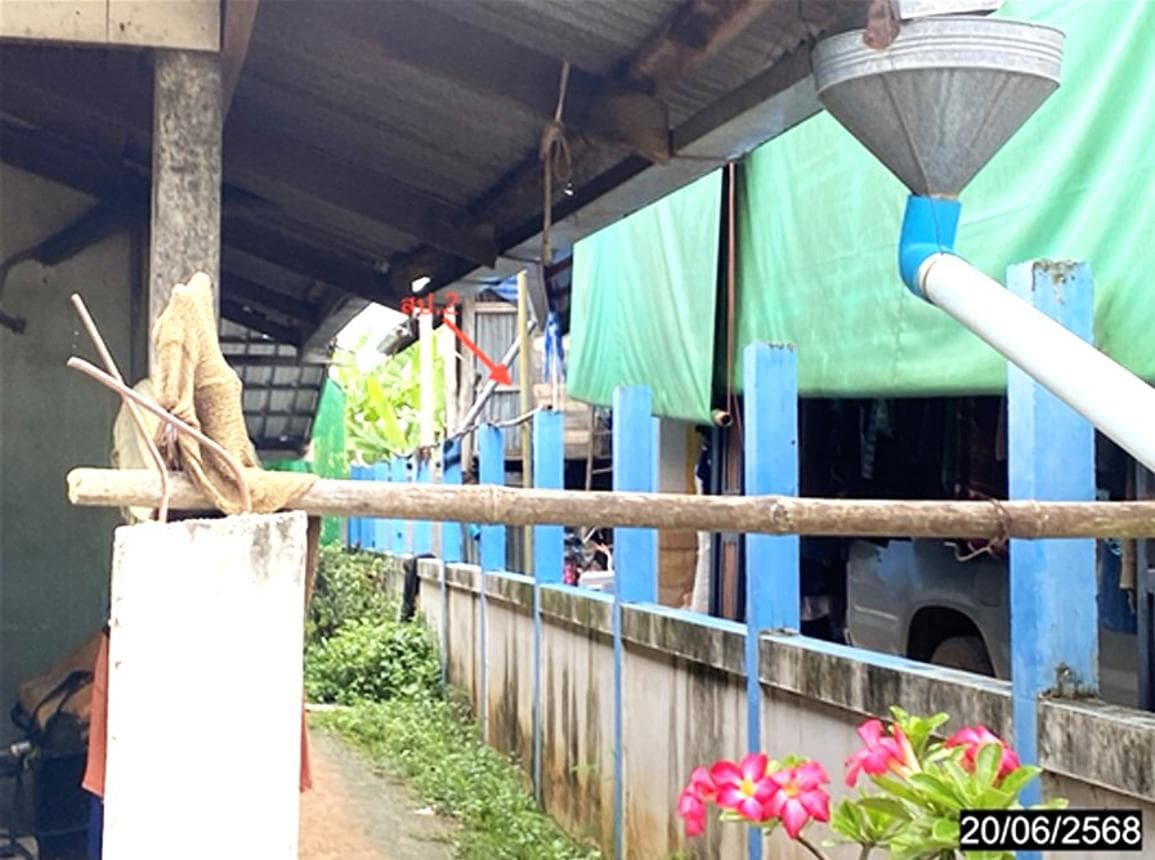 ขายบ้านเดี่ยว หนองเรือ ขอนแก่น พื้นที่กว้าง 72.5 ตร.ว. ทำเลสงบ โนนทอง