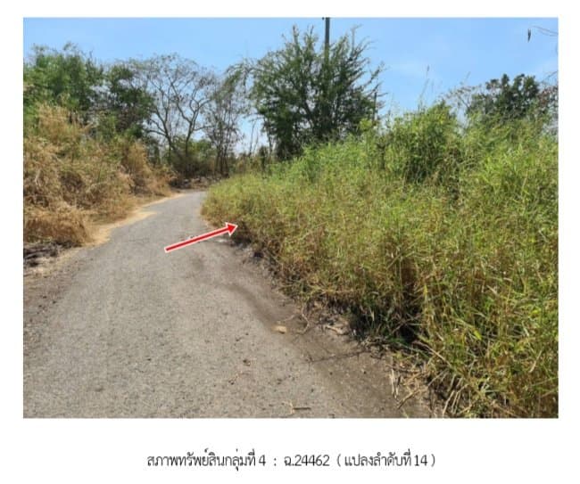 ที่ดินว่างเปล่า ฉลองกรุง ริเวอร์วิลล์ หนองจอก