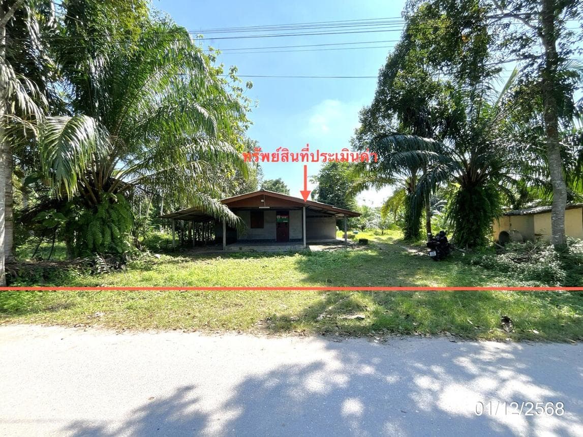 ขายบ้านเดี่ยว เวียงสระ เวียงสระ สุราษฎร์ธานี พื้นที่ 74 ตร.ว. พื้นที่ใช้สอย 171.25 ตร.ม. 2 ห้องนอน 1 ห้องน้ำ
