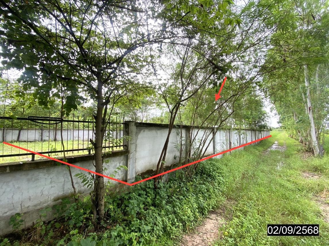 ที่ดินว่างเปล่า นาดี เมืองอุดรธานี อุดรธานี ทำเลดีใกล้ถนนหลักและแหล่งชุมชน เหมาะสำหรับปลูกบ้านหรือลงทุน ราคาพิเศษ 8.4 แสน