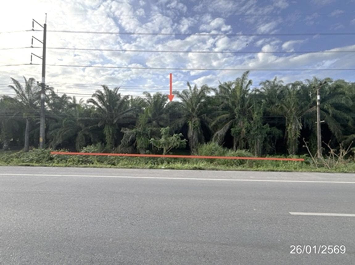 ขายที่ดินว่างเปล่า ท่าโรงช้าง พุนพิน สุราษฎร์ธานี ทำเลศักยภาพ