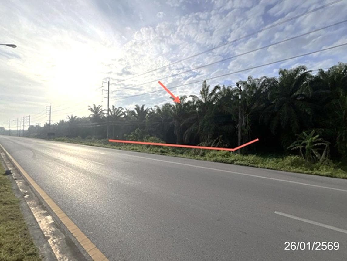 ขายที่ดินว่างเปล่า ท่าโรงช้าง พุนพิน สุราษฎร์ธานี ทำเลศักยภาพ