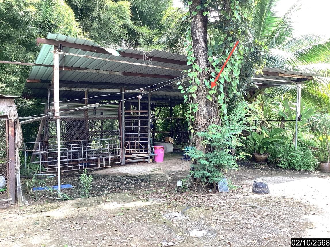 ขายบ้านเดี่ยวขนาดใหญ่ เมืองหนองคาย ทำเลโพนสว่าง 4 ห้องนอน 4 ห้องน้ำ พื้นที่ใช้สอย 350.2 ตร.ม. สภาพสวยพร้อมอยู่