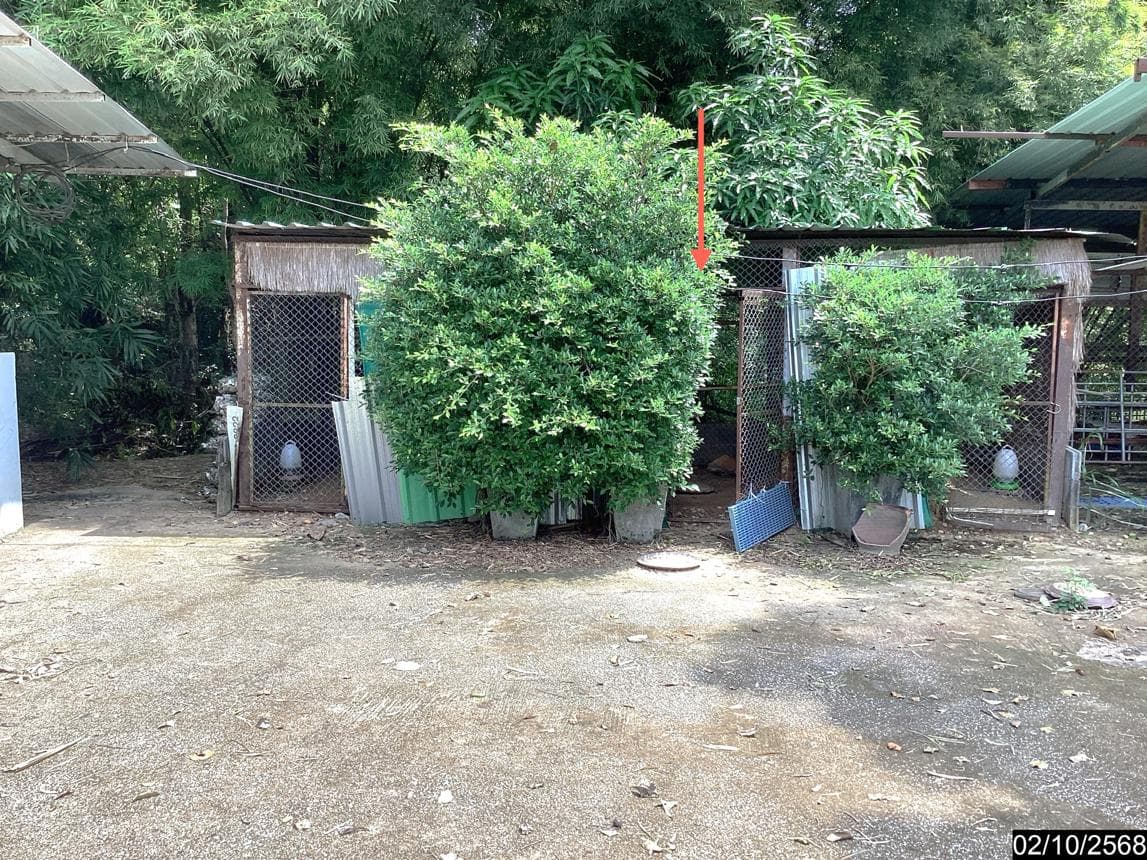 ขายบ้านเดี่ยวขนาดใหญ่ เมืองหนองคาย ทำเลโพนสว่าง 4 ห้องนอน 4 ห้องน้ำ พื้นที่ใช้สอย 350.2 ตร.ม. สภาพสวยพร้อมอยู่