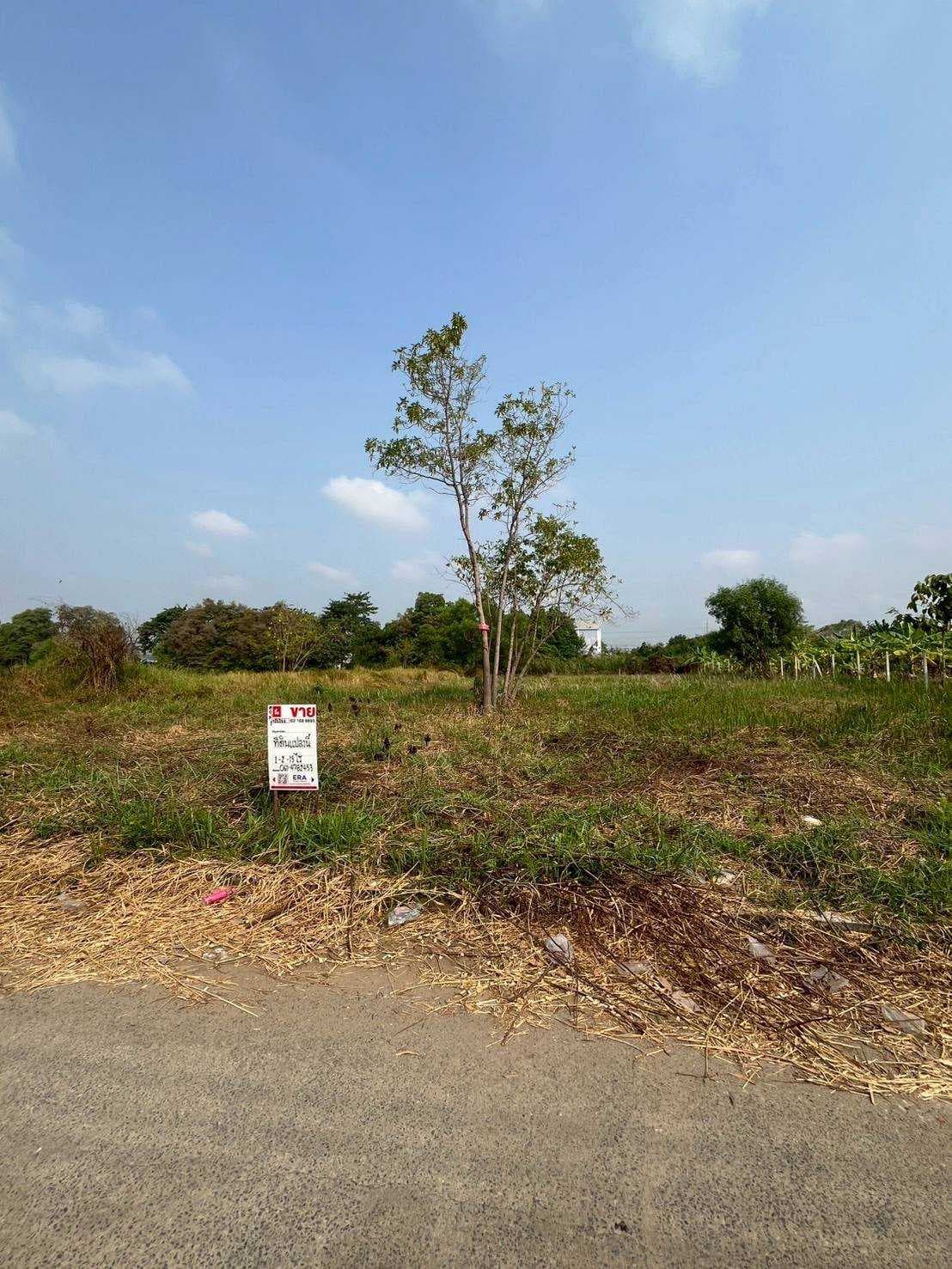 ที่ดินเปล่า ถมแล้วในโครงการ เวิลด์คลับแลนด์ ซอย 1 ถนนคลองหลวง ตำบลคลองสาม อำเภอคลองหลวง จังหวัดปทุมธานี ราคาขาย 9,285,000 บาท