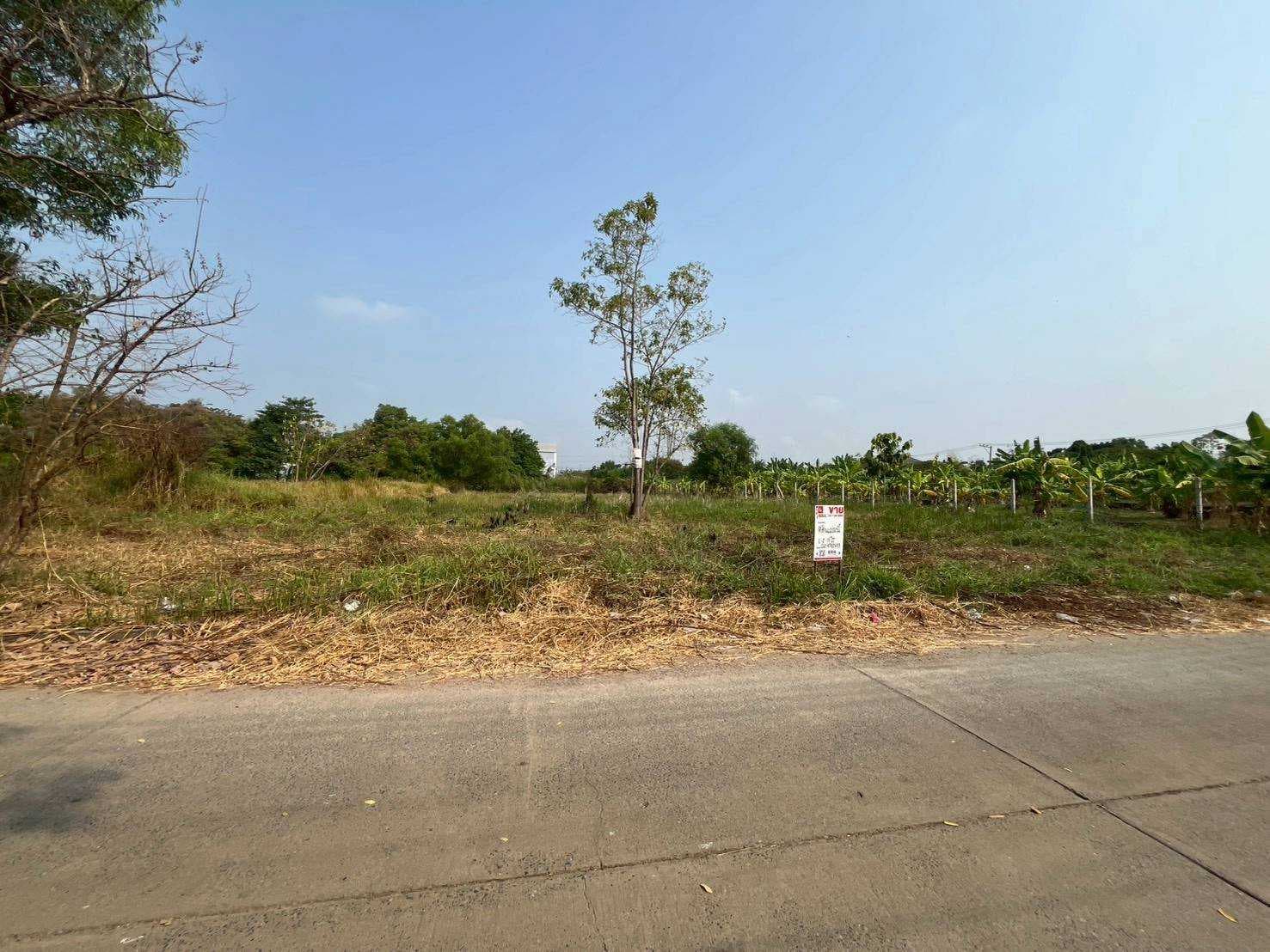 ที่ดินเปล่า ถมแล้วในโครงการ เวิลด์คลับแลนด์ ซอย 1 ถนนคลองหลวง ตำบลคลองสาม อำเภอคลองหลวง จังหวัดปทุมธานี ราคาขาย 9,285,000 บาท