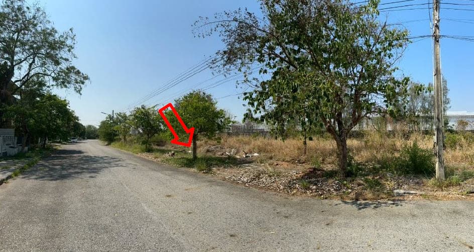 ที่ดินเปล่า บางปะกง ฉะเชิงเทรา