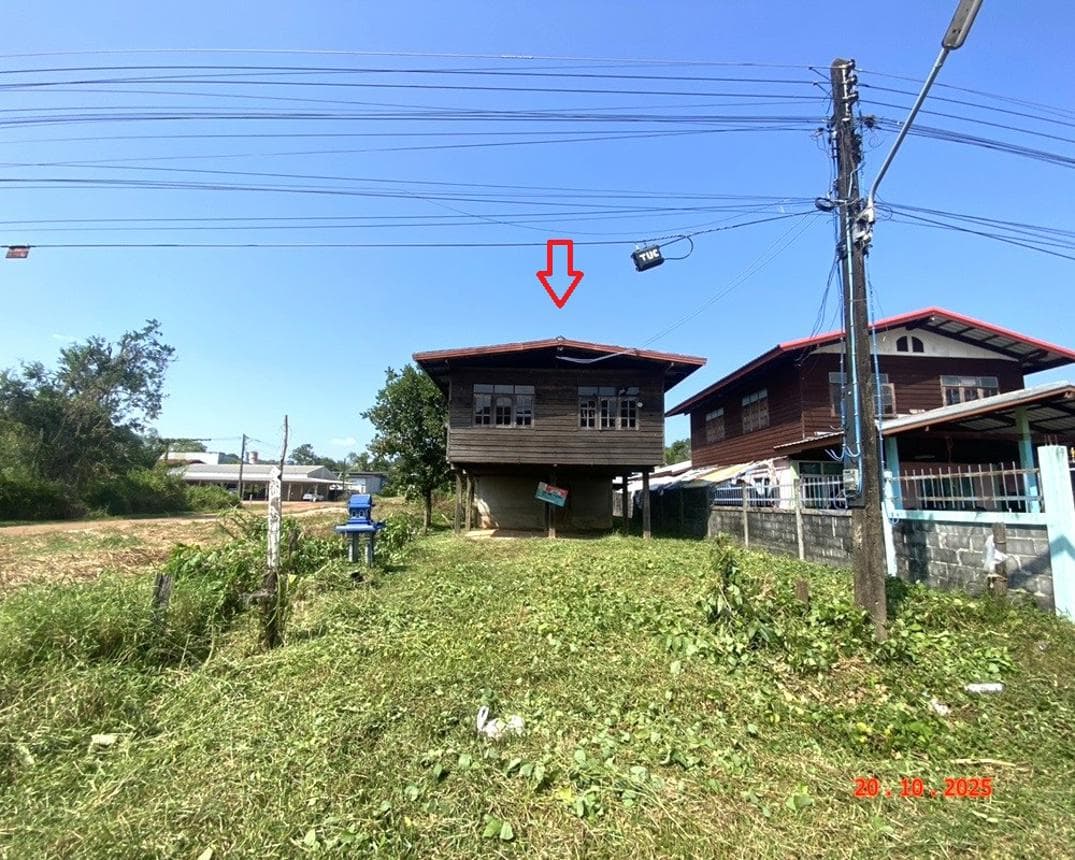 บ้านเดี่ยว ศรีวิไล ศรีวิไล บึงกาฬ พื้นที่ 89.2 ตร.ว. พื้นที่ใช้สอย 117.5 ตร.ม.