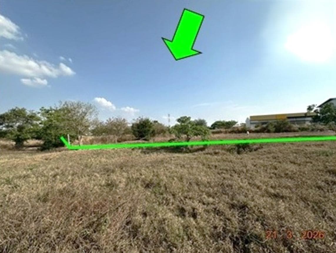 ขายที่ดินว่างเปล่า เชียงยืน มหาสารคาม เนื้อที่ 55 ตร.ว. ทำเลศักยภาพ เหมาะลงทุนและสร้างบ้าน