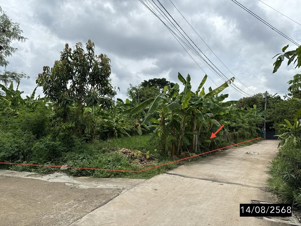 ขายที่ดินเปล่าใจกลางเมืองขอนแก่น เนื้อที่ 89.7 ตร.ว. ทำเลทองย่านในเมือง เหมาะสร้างบ้านหรือโฮมออฟฟิศ