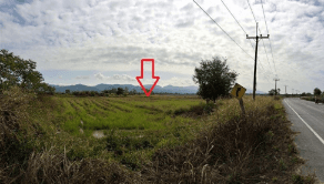 ที่ดินว่างเปล่า เชียงของ เชียงราย