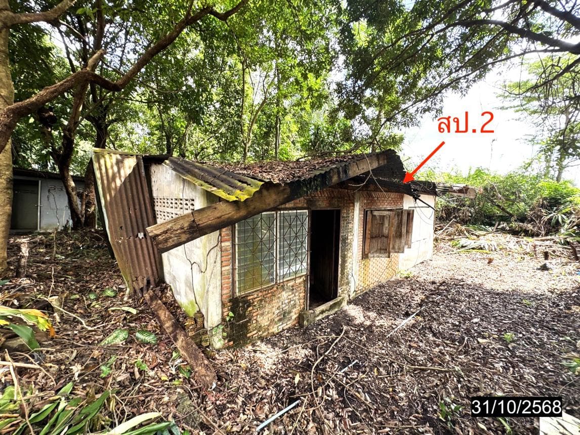 ขายบ้านเดี่ยว เมืองเดช เดชอุดม อุบลราชธานี 4 ห้องนอน สเปซกว้าง 137.5 ตร.ม. ทำเลดีฟังก์ชันครบ