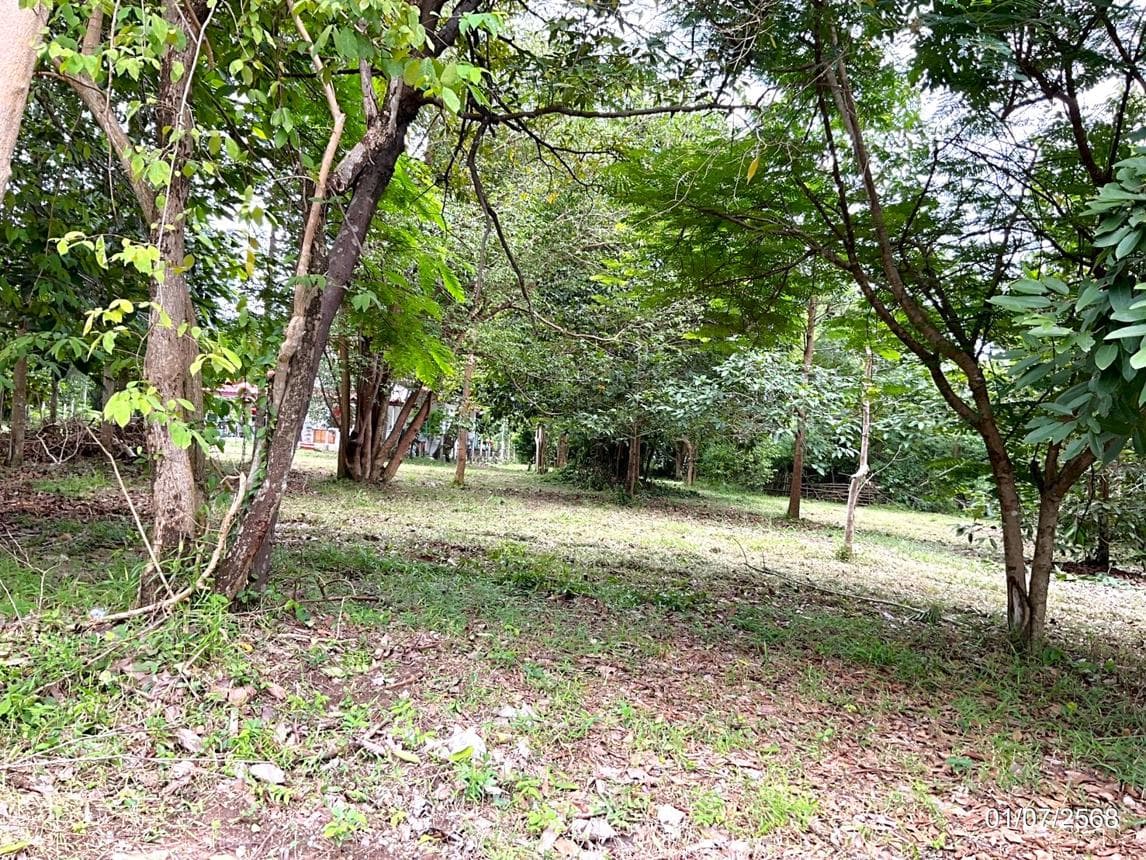 ขายที่ดินเปล่า ฺฮิลล์ไซด์ คันทรีโฮม นนทรี กบินทร์บุรี ปราจีนบุรี พื้นที่ 68.8 ตร.ว.