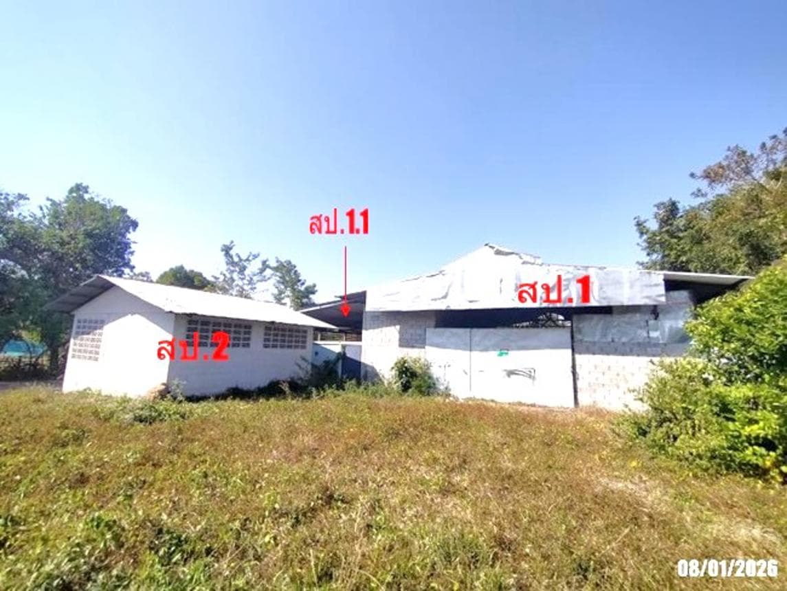 ขายโกดัง เมืองหนองคาย หนองคาย ทำเลวัดธาตุ เนื้อที่ 31 ตร.ว. พื้นที่ใช้สอย 470 ตร.ม. สภาพดี เหมาะสำหรับประกอบกิจการและลงทุน