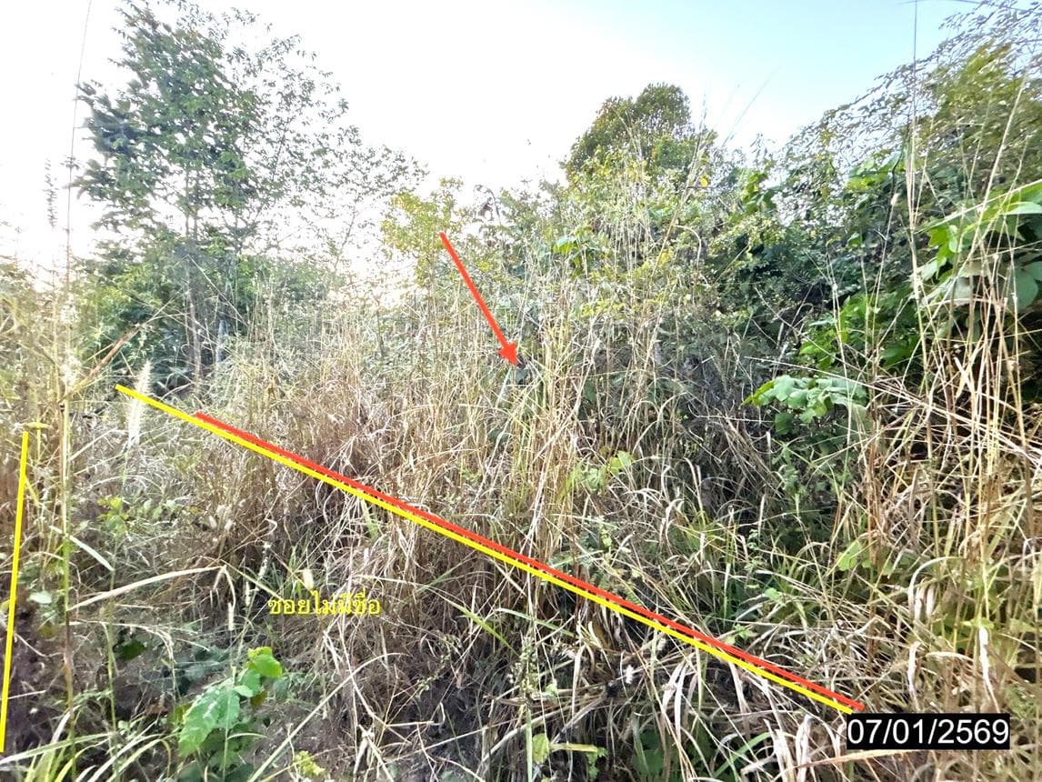 ที่ดินเปล่า แจระแม เมืองอุบลราชธานี พื้นที่ 33.1 ตร.ว. ทำเลเด่น ใกล้ศูนย์ราชการและแหล่งชุมชน