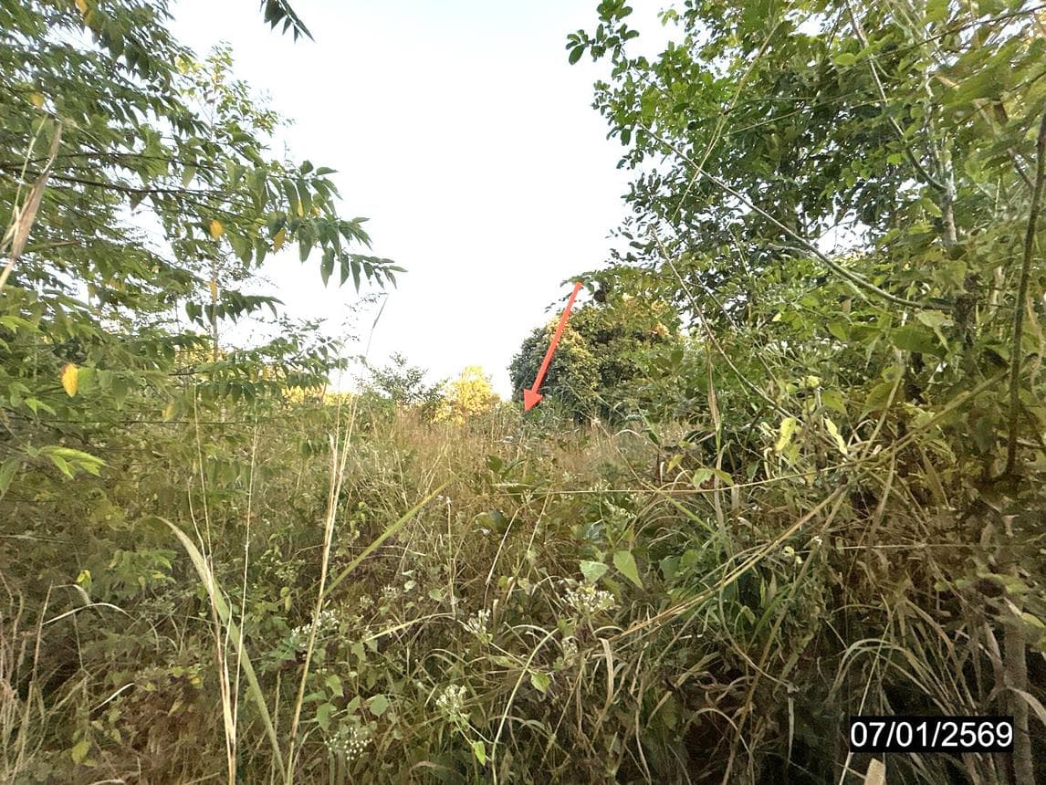 ที่ดินเปล่า แจระแม เมืองอุบลราชธานี พื้นที่ 33.1 ตร.ว. ทำเลเด่น ใกล้ศูนย์ราชการและแหล่งชุมชน