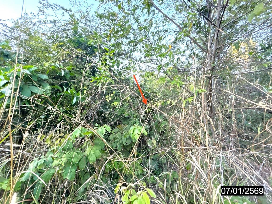 ที่ดินเปล่า แจระแม เมืองอุบลราชธานี พื้นที่ 33.1 ตร.ว. ทำเลเด่น ใกล้ศูนย์ราชการและแหล่งชุมชน