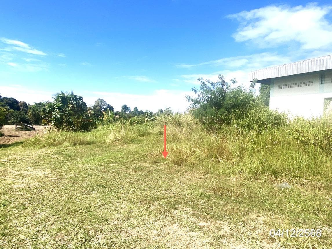 บ้านเดี่ยว พื้นที่ 438 ตร.ม. ทำเลศักยภาพ หมูม่น สมเด็จ กาฬสินธุ์