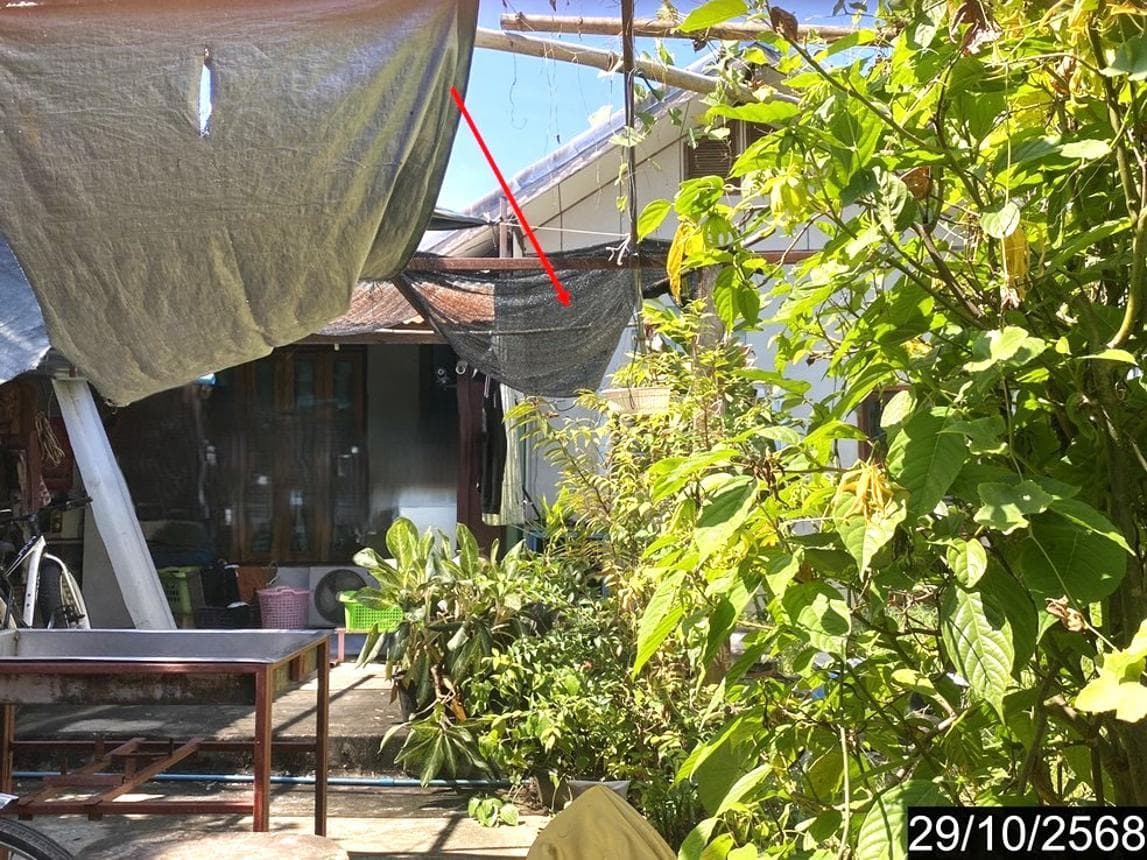 บ้านเดี่ยว เชียงคาน เลย 2 ห้องนอน 3 ห้องน้ำ พื้นที่กว้าง 116 ตร.ม. บนที่ดิน 59.9 ตร.ว. ทำเลท่องเที่ยว