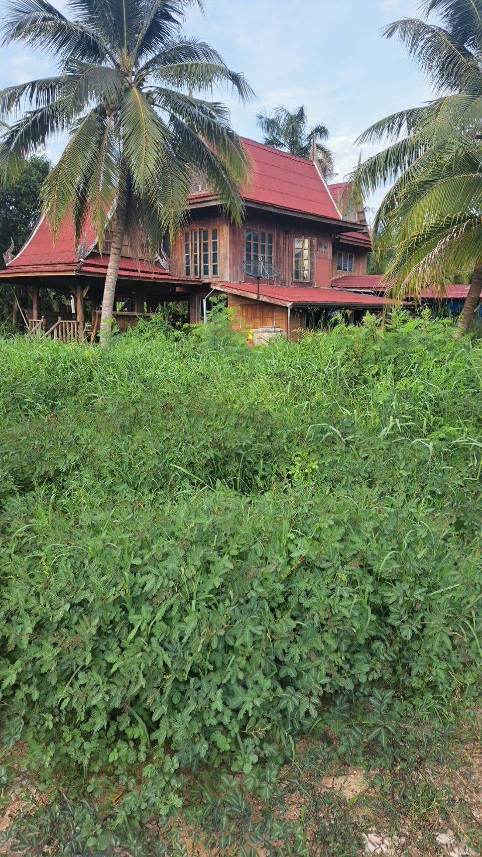 ขาย ที่ดินพร้อมบ้านเรือนไทย บรรยากาศร่มรื่นเป็นส่วนตัว ทำเลดีบ้านแพ้ว สมุทรสาคร ขนาด 4 ไร่ 2 งานเศษ