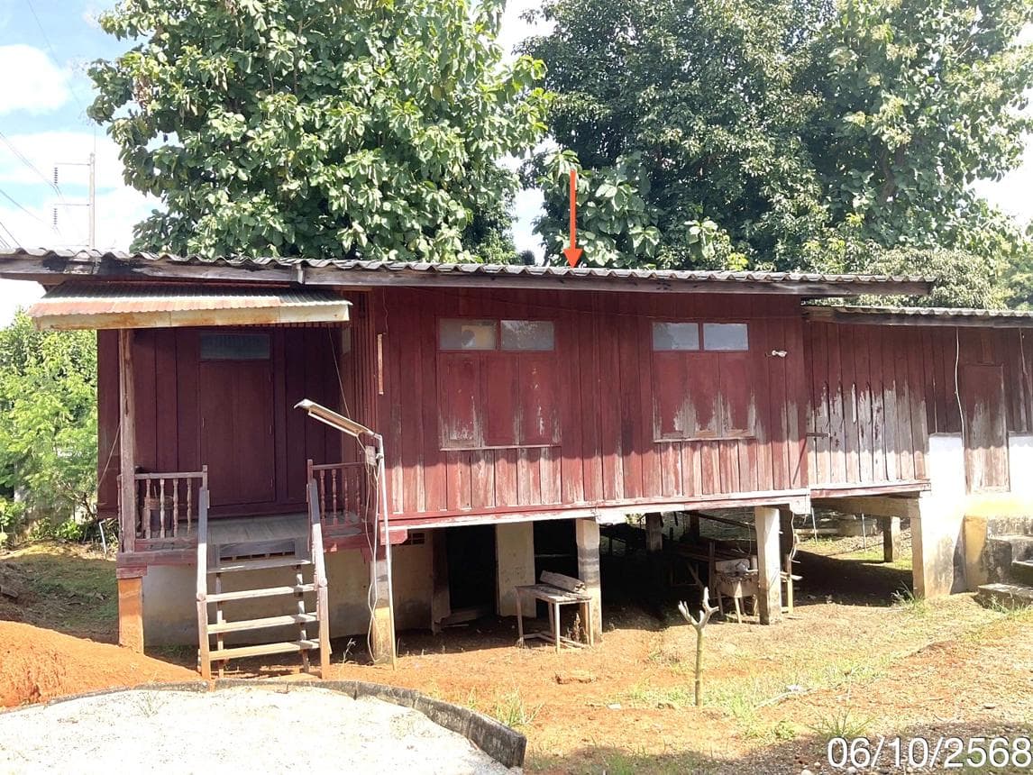 ขายบ้านเดี่ยว ป่าสัก เชียงแสน เชียงราย 2 ห้องนอน เนื้อที่ 88 ตร.ว. ทำเลดี