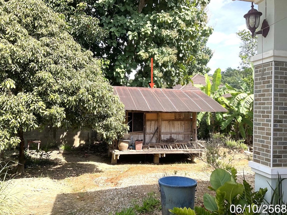 ขายบ้านเดี่ยว ป่าสัก เชียงแสน เชียงราย 2 ห้องนอน เนื้อที่ 88 ตร.ว. ทำเลดี