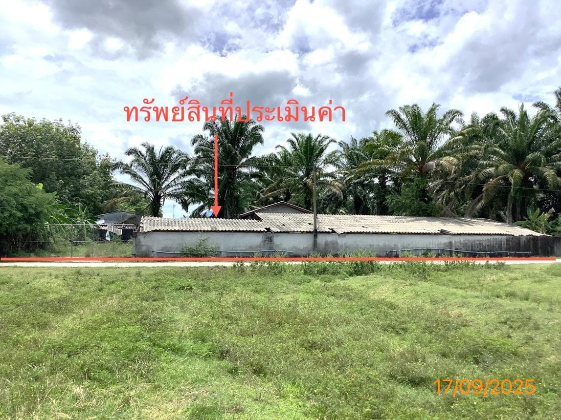 ฟาร์ม พื้นที่ 1100 ตร.ม. ทำเลศักยภาพ ทางพูน เฉลิมพระเกียรติ นครศรีธรรมราช