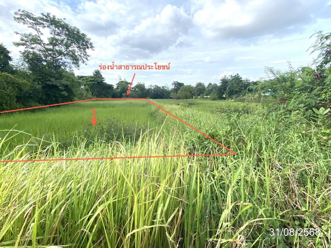 ที่ดินว่างเปล่า แก่งเลิงจาน เมืองมหาสารคาม มหาสารคาม เนื้อที่ 91.6 ตร.ว. ทำเลดีใกล้แหล่งชุมชนและสถานศึกษา เหมาะสำหรับสร้างบ้านหรือลงทุน ราคาพิเศษ 4.94 ล้าน