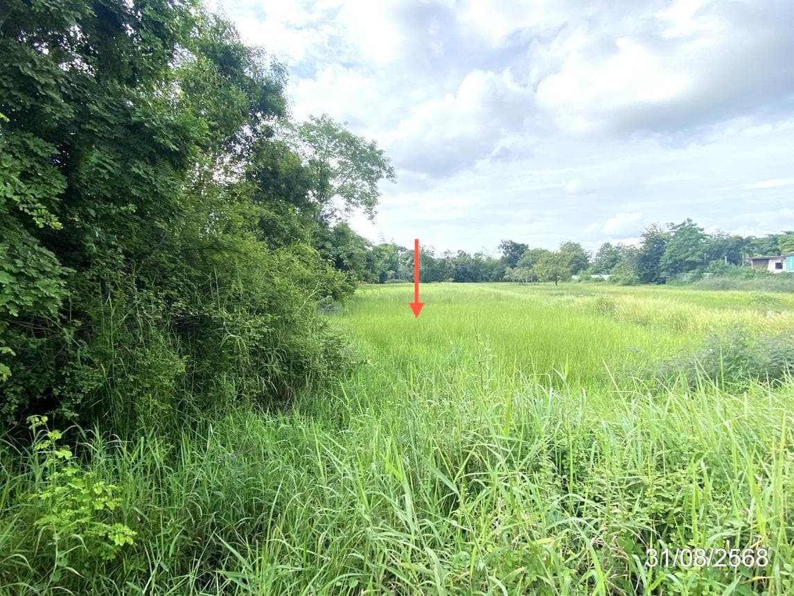 ที่ดินว่างเปล่า แก่งเลิงจาน เมืองมหาสารคาม มหาสารคาม เนื้อที่ 91.6 ตร.ว. ทำเลดีใกล้แหล่งชุมชนและสถานศึกษา เหมาะสำหรับสร้างบ้านหรือลงทุน ราคาพิเศษ 4.94 ล้าน