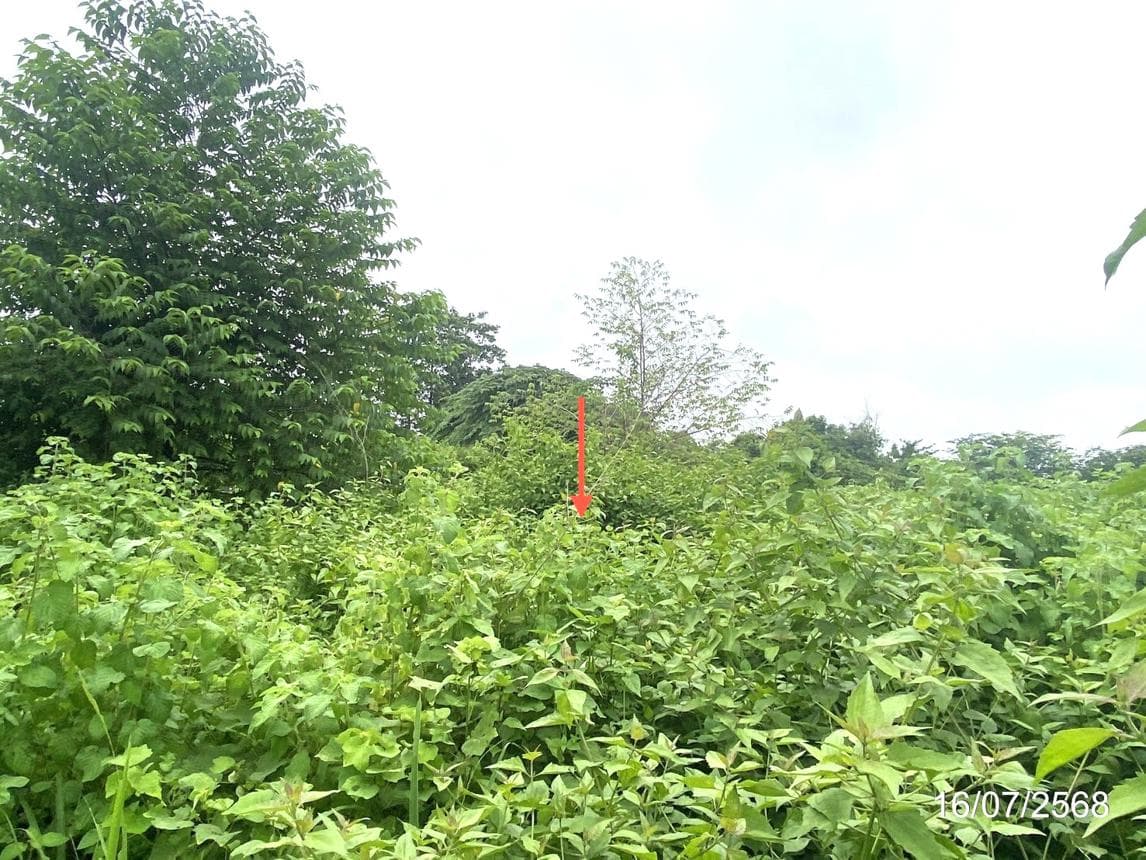 ที่ดินว่างเปล่า พื้นที่ 85 ตร.ว. ทำเลศักยภาพ ห้วยเม็ก ห้วยเม็ก กาฬสินธุ์