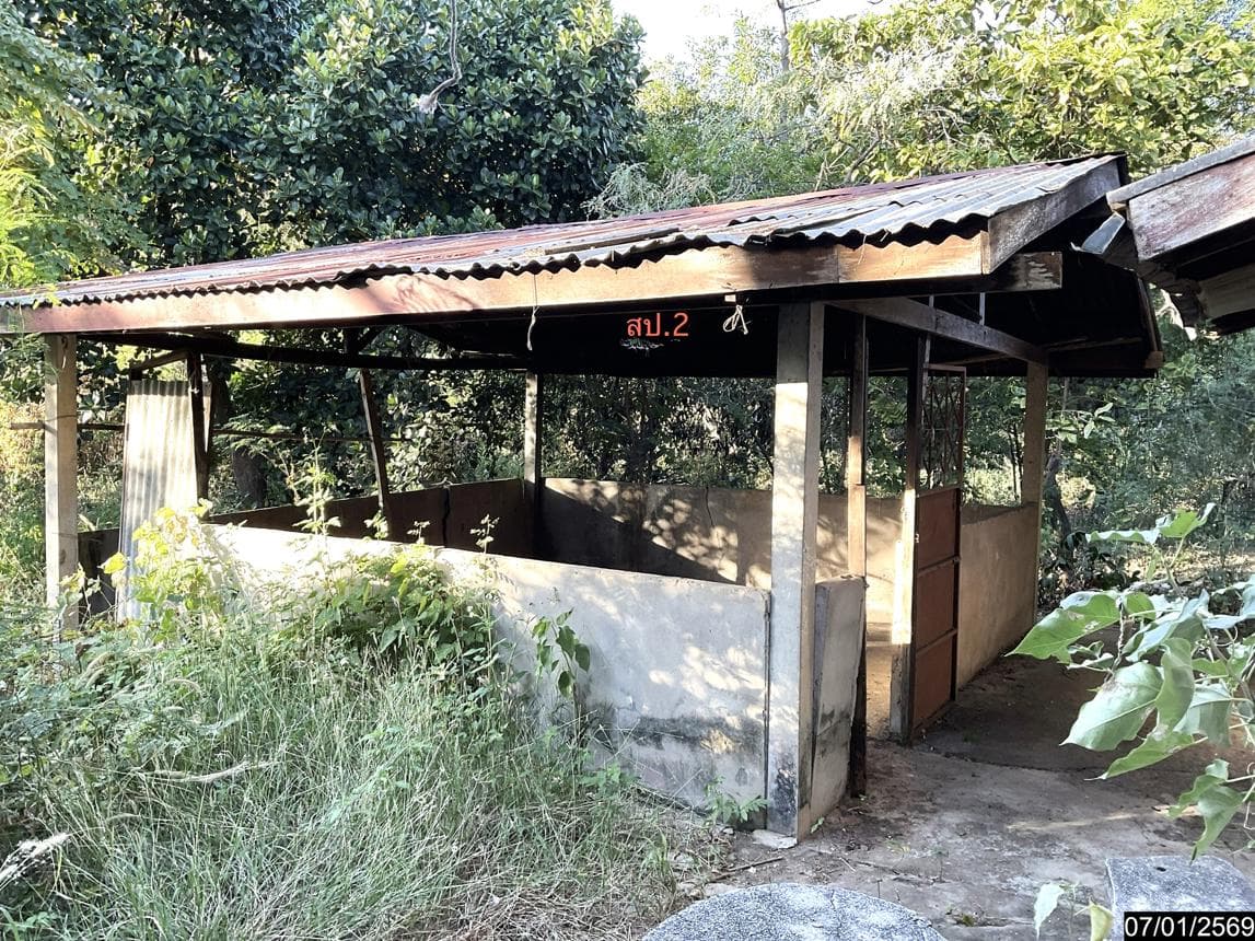 บ้านเดี่ยวทำเลศักยภาพ กุดขอนแก่น ภูเวียง ขอนแก่น พื้นที่ใช้สอย 159 ตร.ม. ฟังก์ชัน 3 ห้องนอน