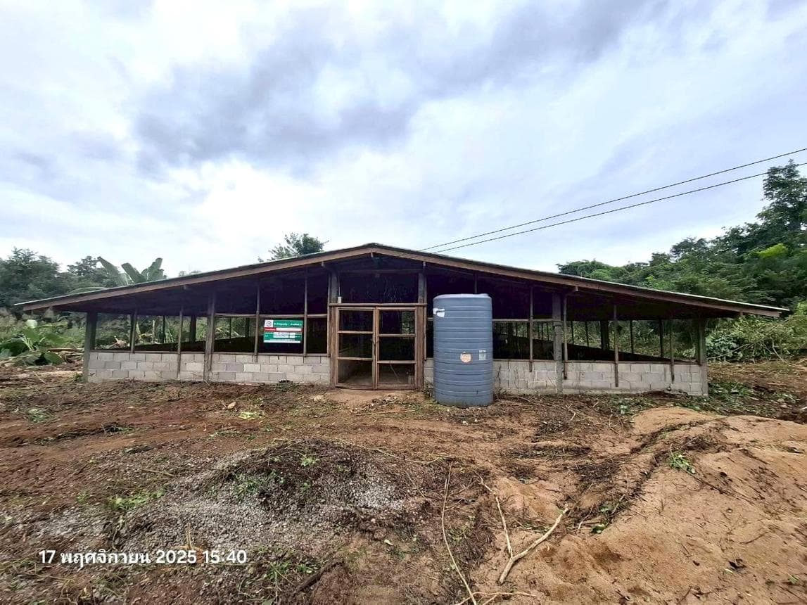 ที่ดินพร้อมสิ่งปลูกสร้าง บ้านตาล ฮอด เชียงใหม่ พื้นที่ใช้สอย 240 ตร.ม. บนที่ดิน 97 ตร.ว. ทำเลสงบ วิวธรรมชาติ