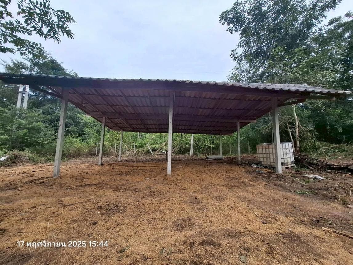 ที่ดินพร้อมสิ่งปลูกสร้าง บ้านตาล ฮอด เชียงใหม่ พื้นที่ใช้สอย 240 ตร.ม. บนที่ดิน 97 ตร.ว. ทำเลสงบ วิวธรรมชาติ