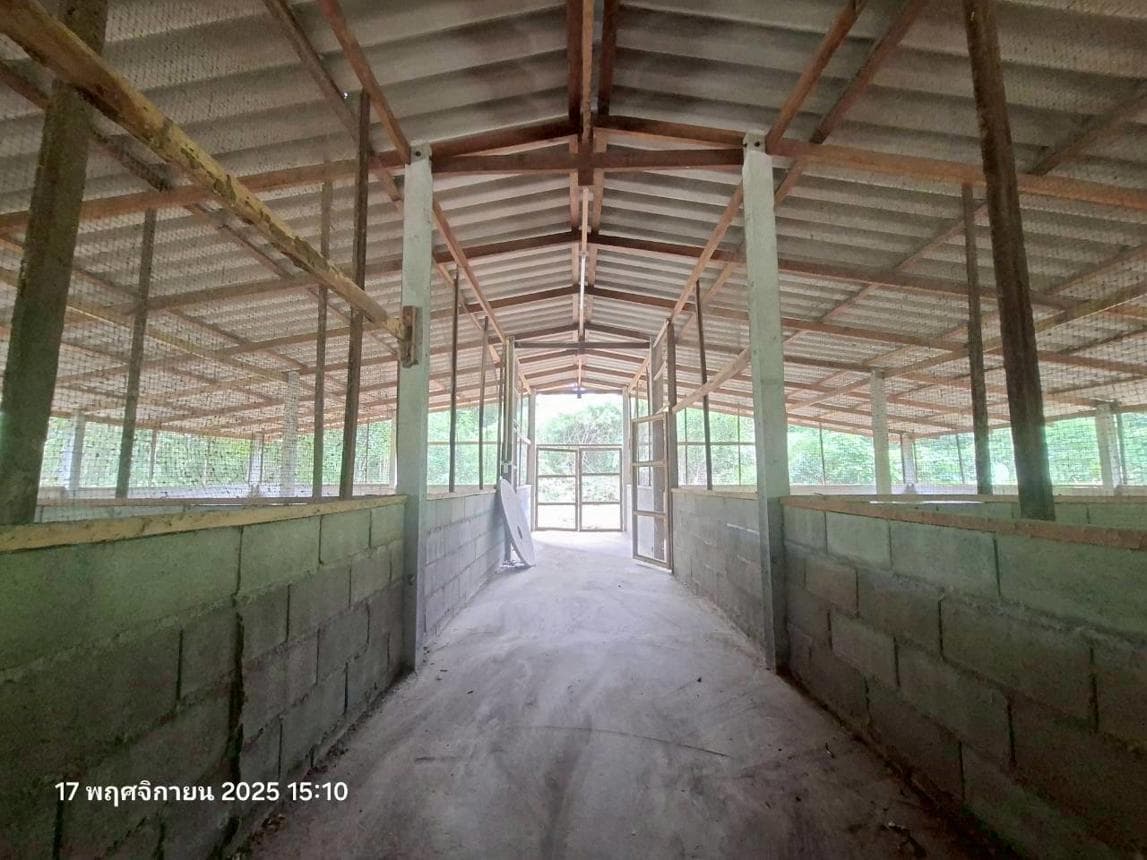 ที่ดินพร้อมสิ่งปลูกสร้าง บ้านตาล ฮอด เชียงใหม่ พื้นที่ใช้สอย 240 ตร.ม. บนที่ดิน 97 ตร.ว. ทำเลสงบ วิวธรรมชาติ