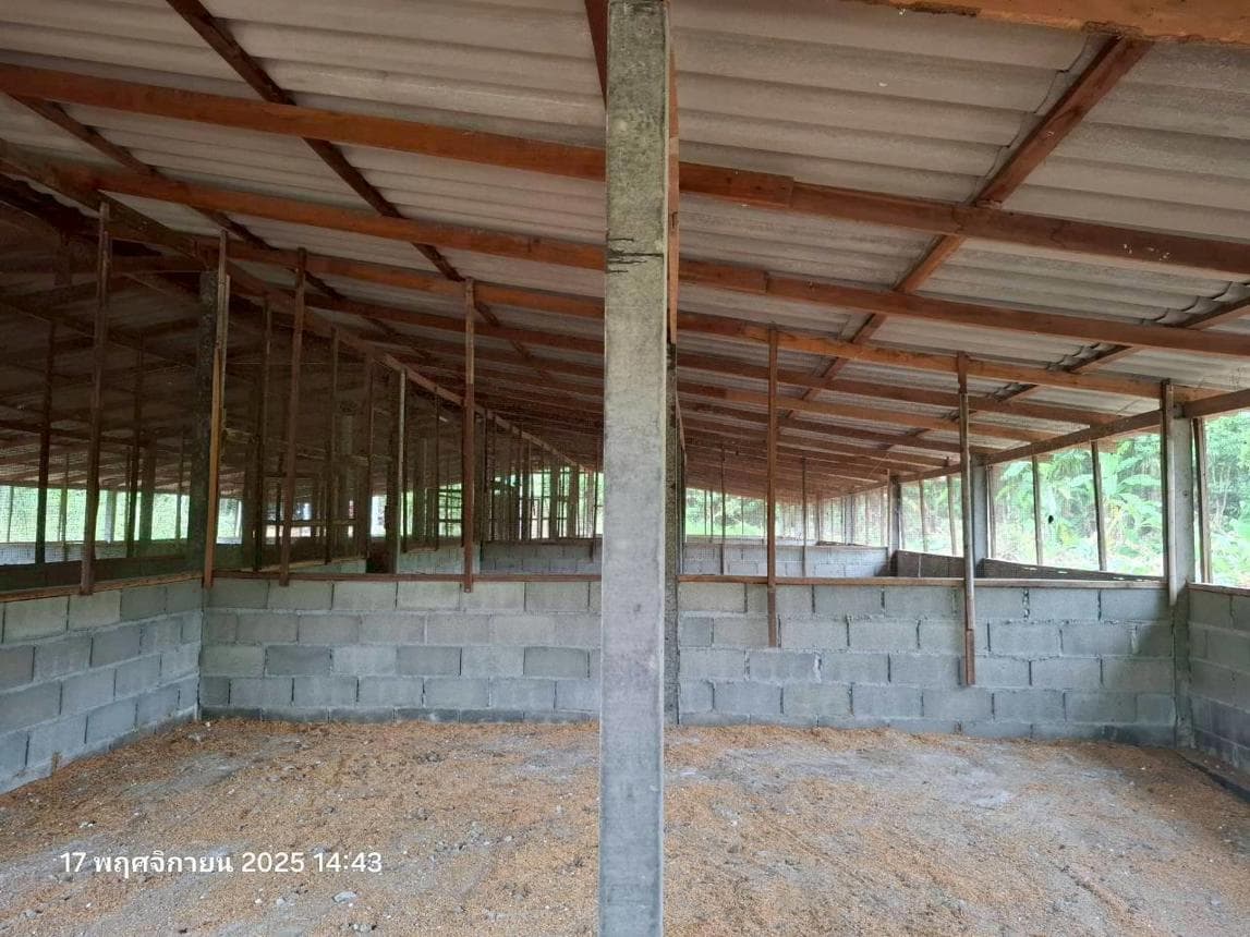 ที่ดินพร้อมสิ่งปลูกสร้าง บ้านตาล ฮอด เชียงใหม่ พื้นที่ใช้สอย 240 ตร.ม. บนที่ดิน 97 ตร.ว. ทำเลสงบ วิวธรรมชาติ