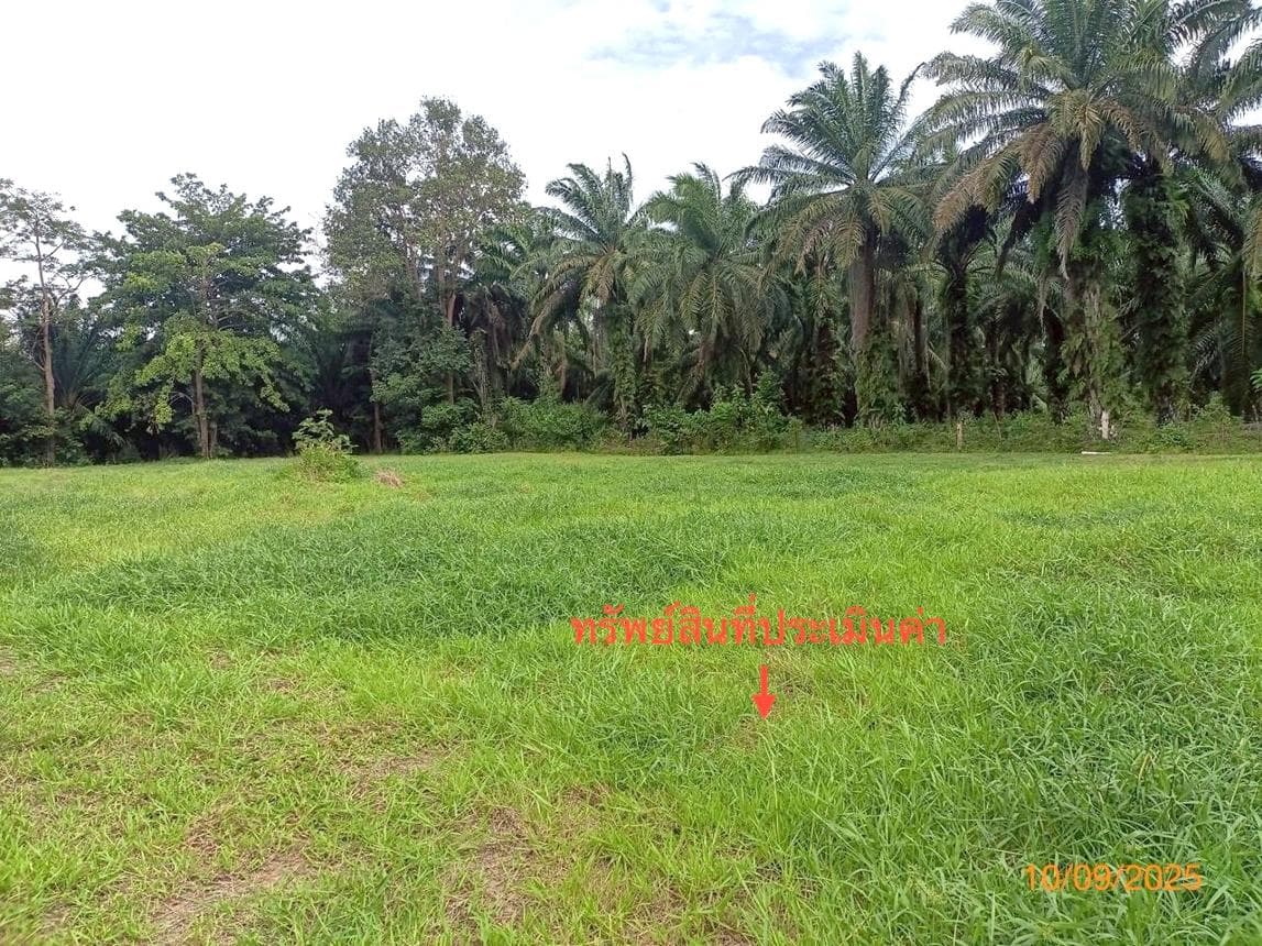 ที่ดินเปล่า 35.5 ตร.ว. ทำเลศักยภาพ เหมาะสร้างบ้าน เหนือคลอง กระบี่