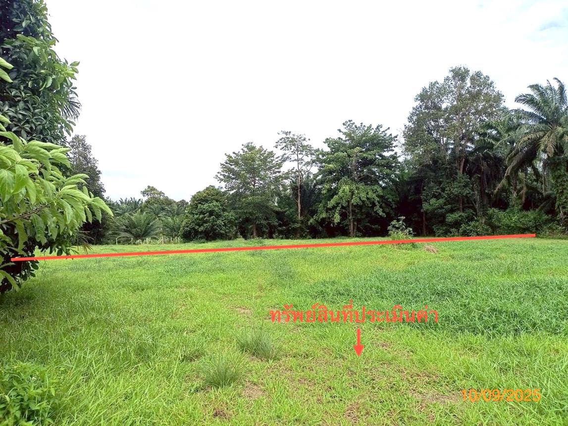 ที่ดินเปล่า 35.5 ตร.ว. ทำเลศักยภาพ เหมาะสร้างบ้าน เหนือคลอง กระบี่